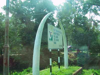 KUALA GANDAH ELEPHANT CONSERVATION CENTER