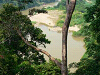 CANOPY WALKWAY