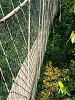 CANOPY WALKWAY